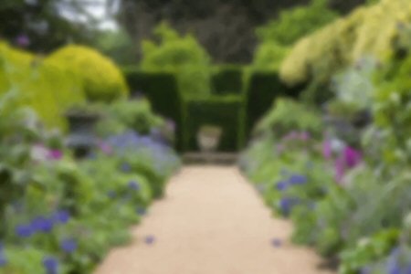 Picture of a garden